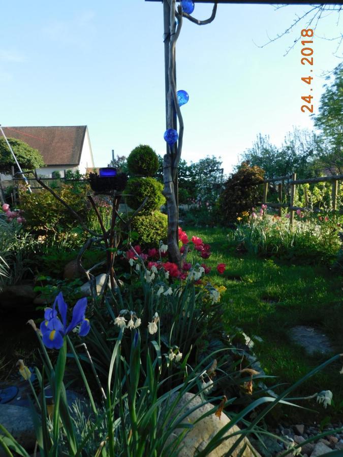 Chez Nous. B & B Bassy Bagian luar foto